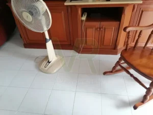 ก่อนปูพื้น spc